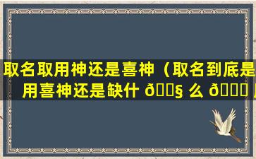 取名取用神还是喜神（取名到底是用喜神还是缺什 🐧 么 🐞 用什么）